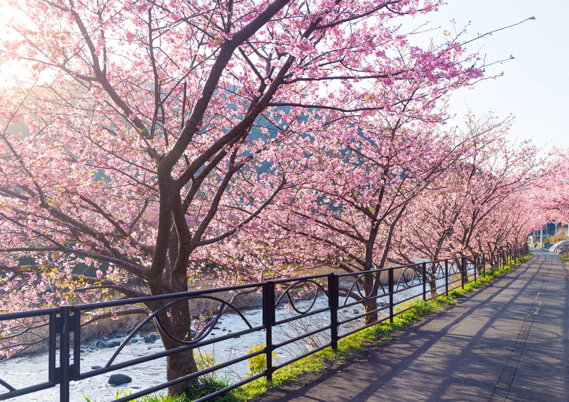 驚異の合格率！尼崎市での成功を支えるスクールKGの塾