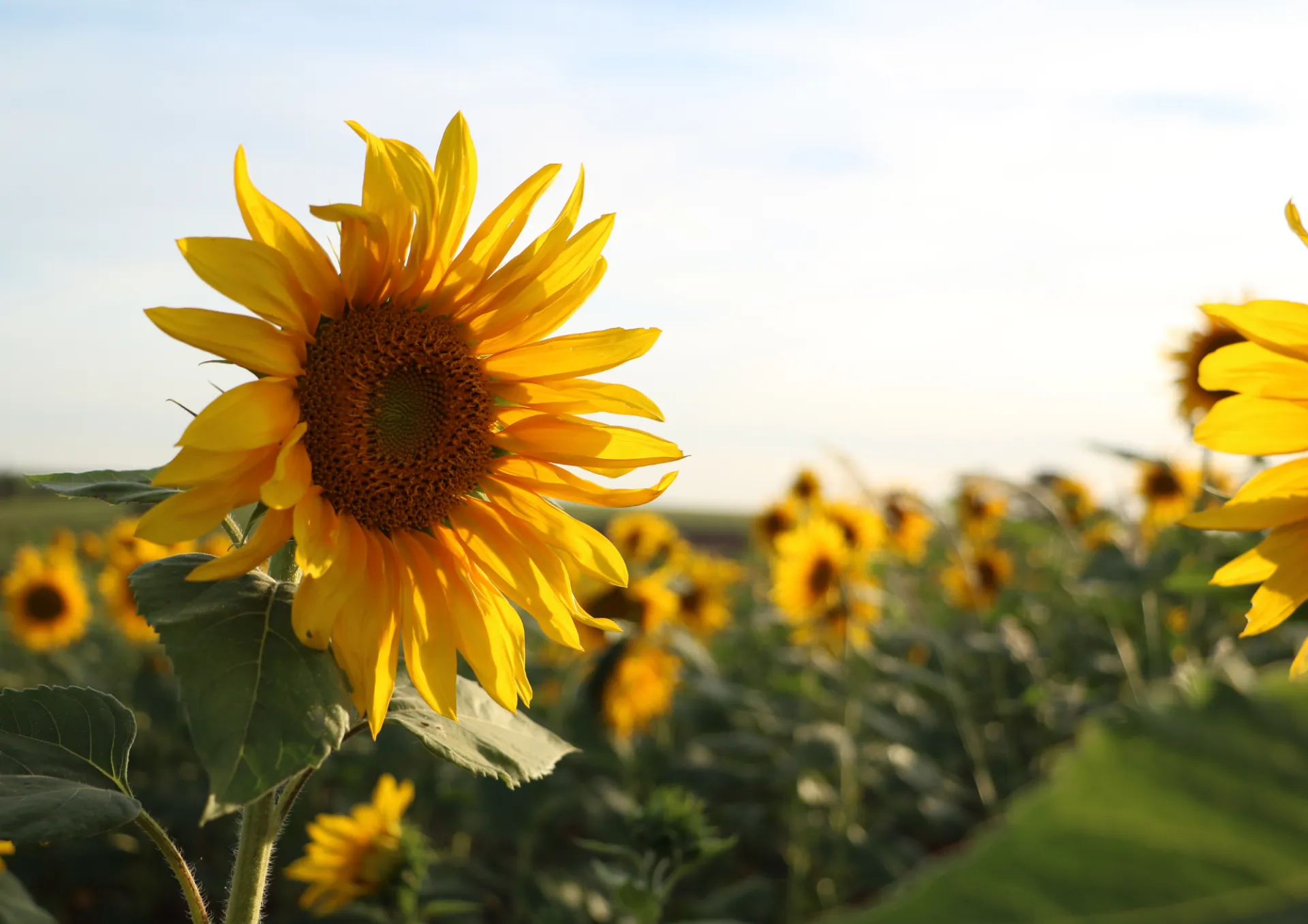 夏期講習の準備はお早めに！兵庫県尼崎市でお子さまに最適な塾を選ぶポイント