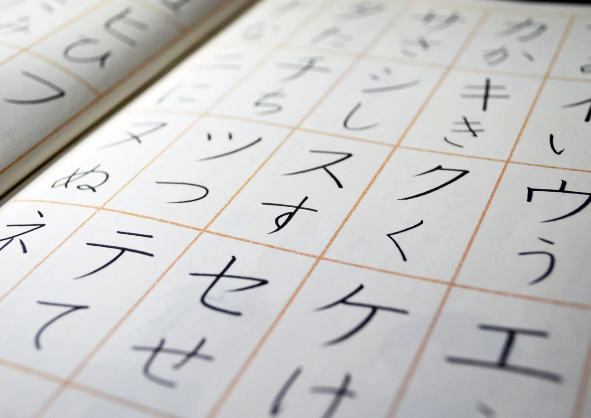 兵庫県尼崎市の国語塾選び方ガイド: 成績アップへの第一歩