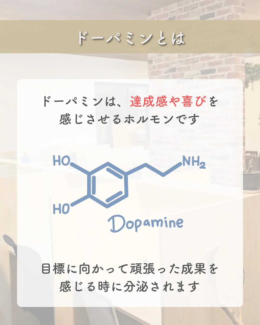 @school.kg ←他の投稿も見てみる😄