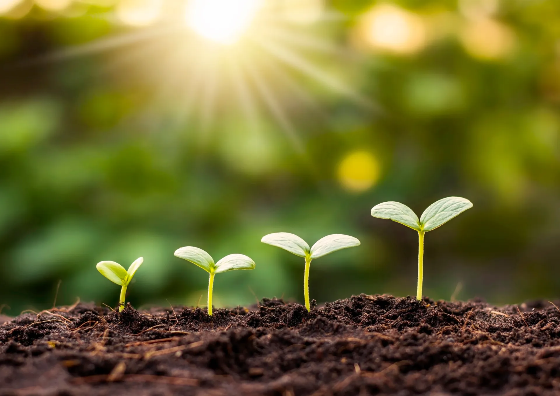 塾講師が語る伸びる子どもの特徴と学習習慣の形成